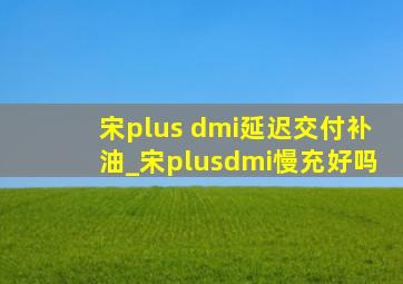 宋plus dmi延迟交付补油_宋plusdmi慢充好吗